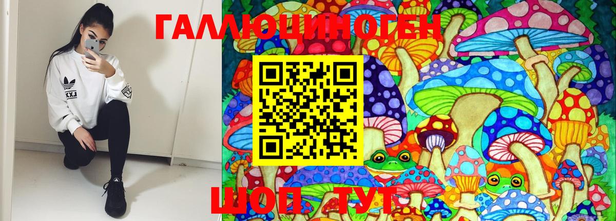 Галлюциногенные грибы Psilocybine cubensis Фурманов